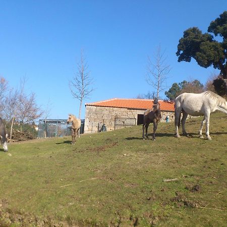 Quinta Da Mata - Turismo De Habitacao Pensionat Chaves Eksteriør billede