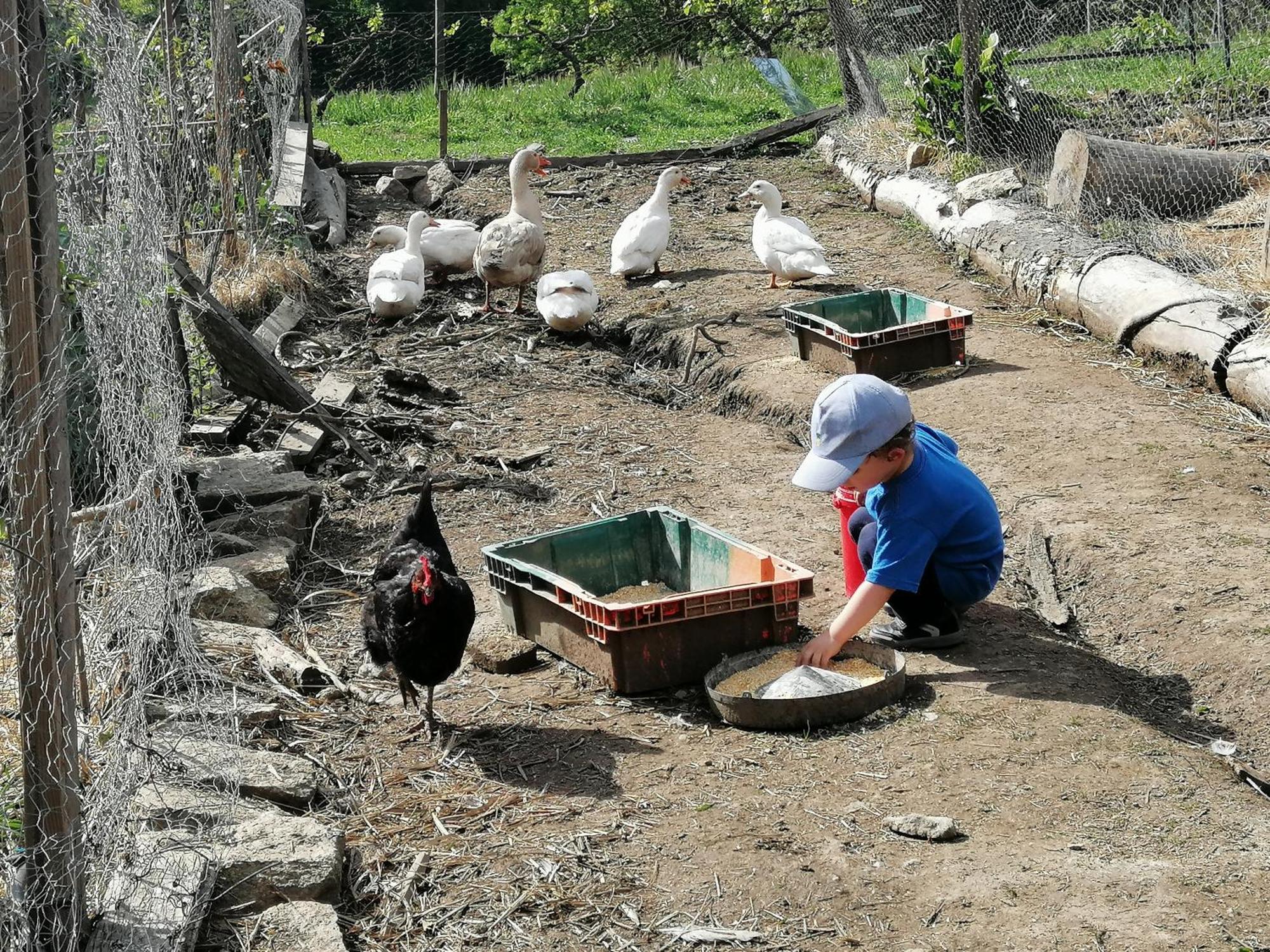 Quinta Da Mata - Turismo De Habitacao Pensionat Chaves Eksteriør billede