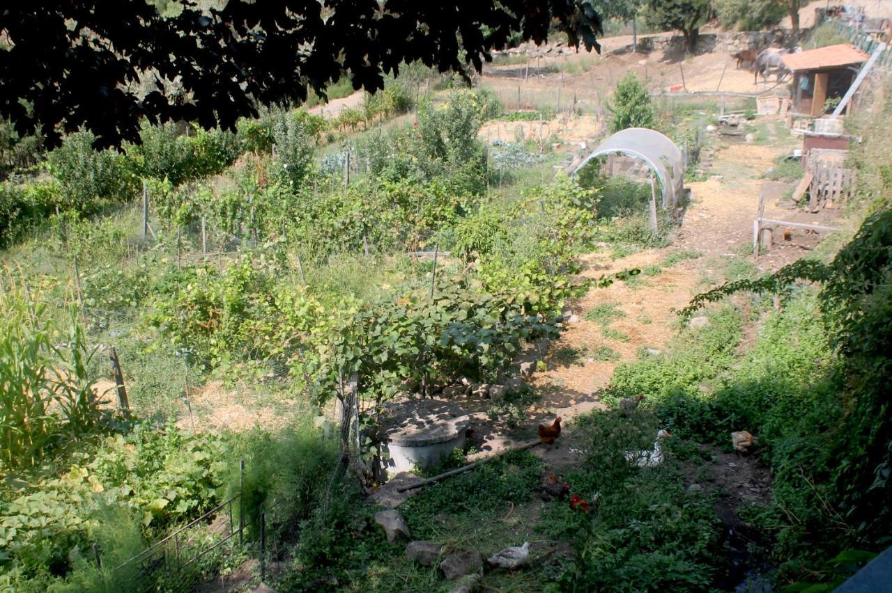 Quinta Da Mata - Turismo De Habitacao Pensionat Chaves Eksteriør billede